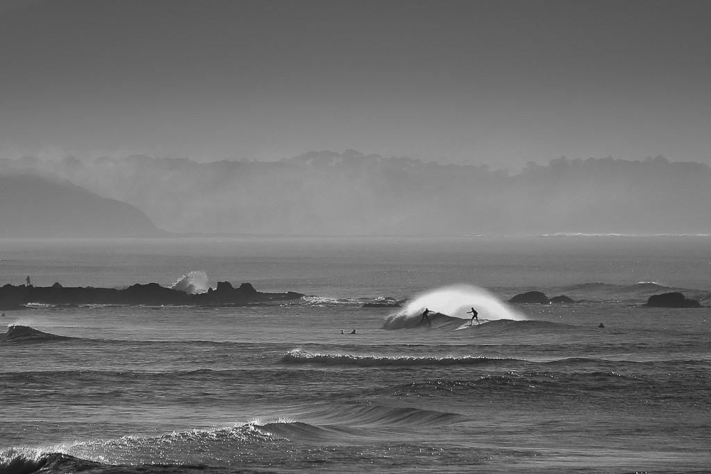 surfeur vague la milady biarritz