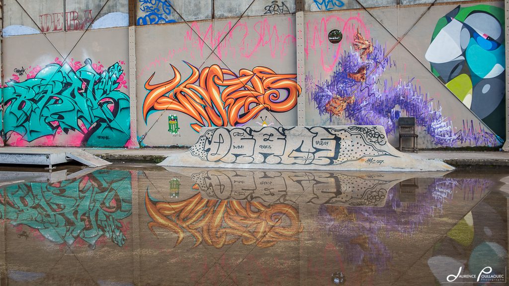 darwin-reflet-photographe-bordeaux-laurence-poullaouec reflet pluie bordeaux darwin