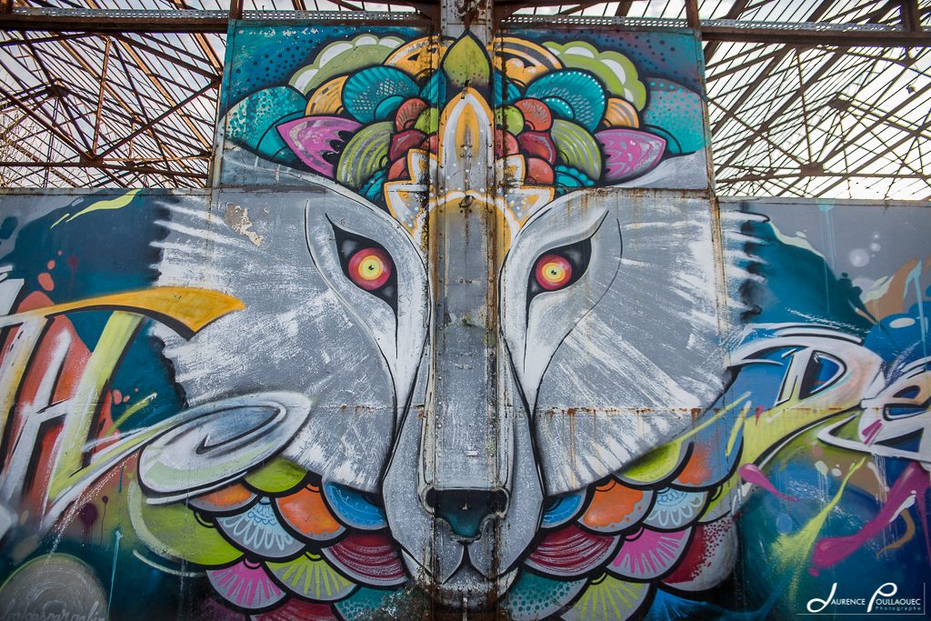graff-caserne-niel-photographe-bordeaux-laurence-poullaouec loup graff darwin bordeaux rive droite