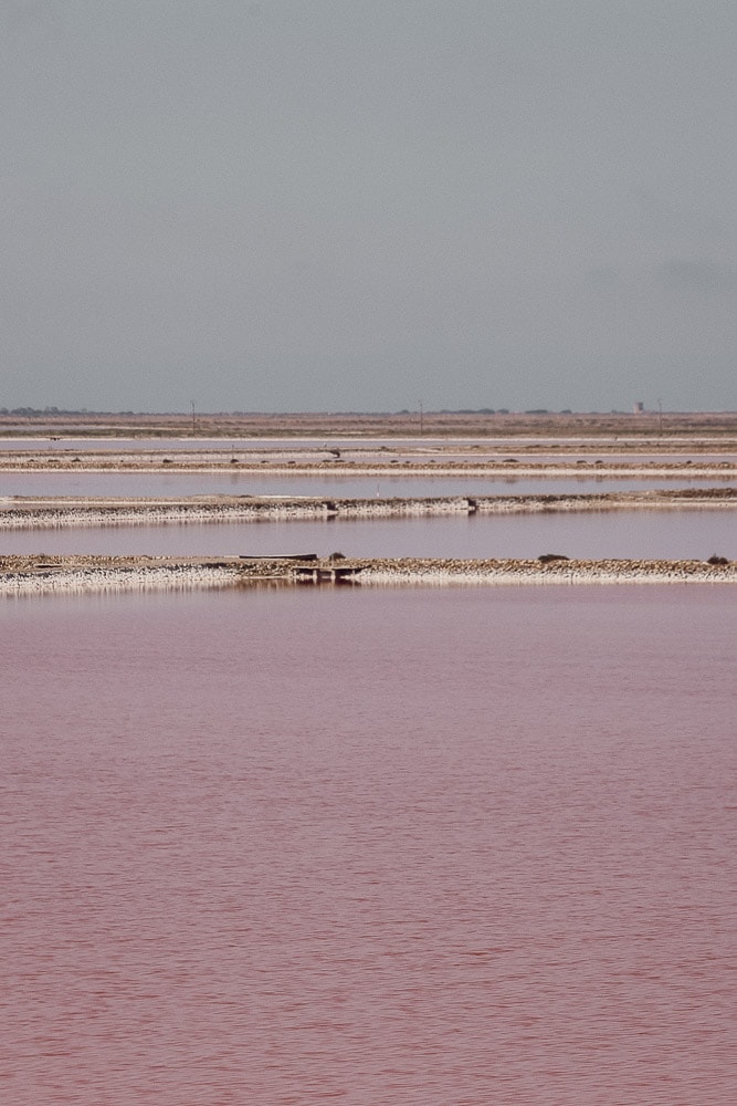 maree salant camargue