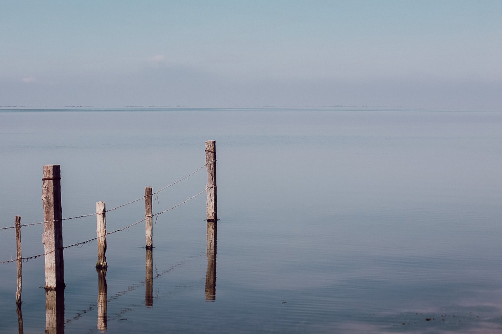 parc regional camargue