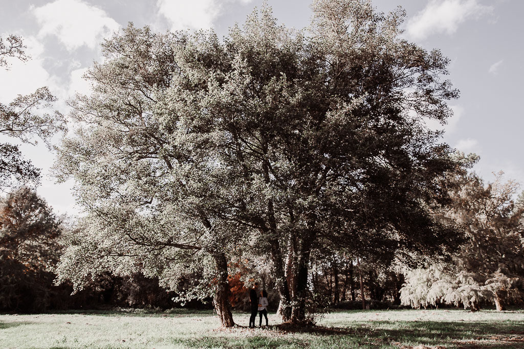 seance photo landes