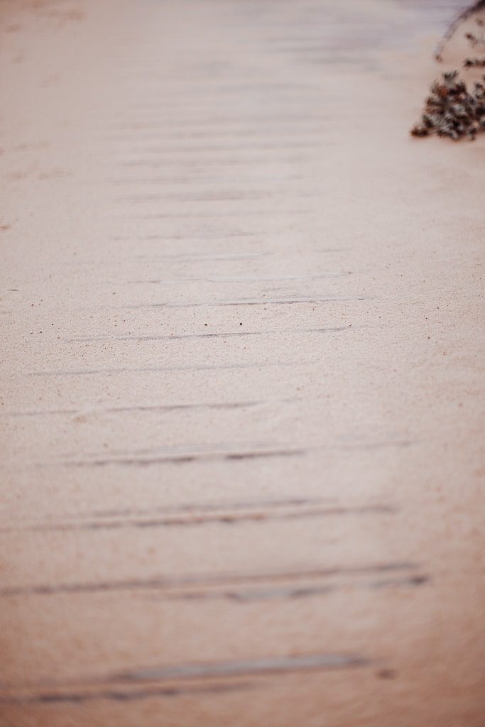sea + feel hossegor