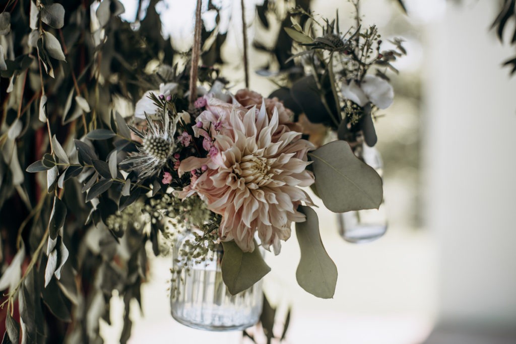 les fleurs d'elia