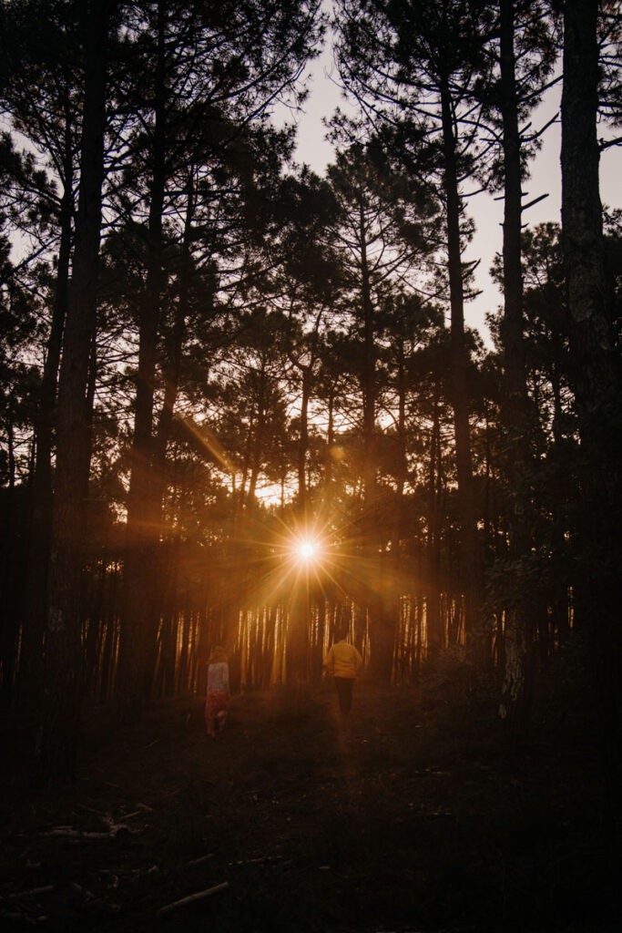 séance engagement au lever du soleil dans les landes