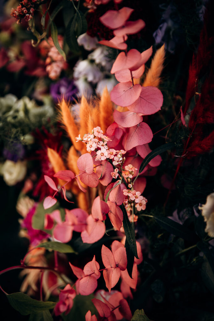 les fleurs d'elia
