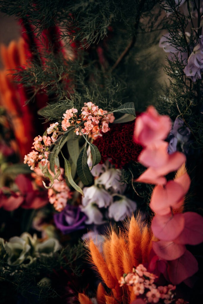 les fleurs d'elia