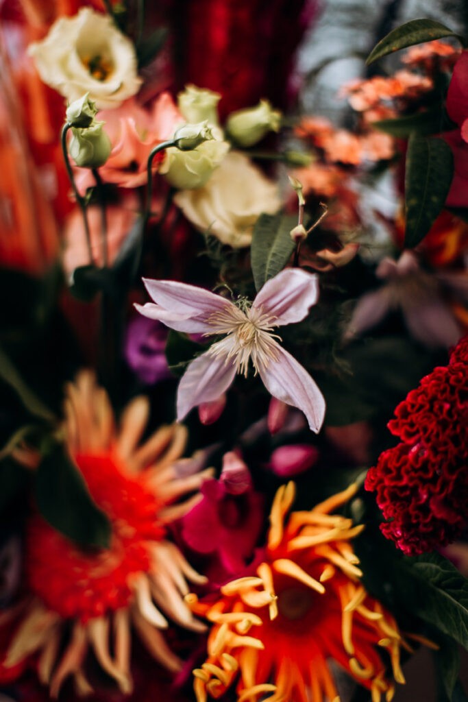 les fleurs d'elia