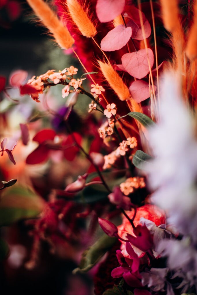 les fleurs d'elia
