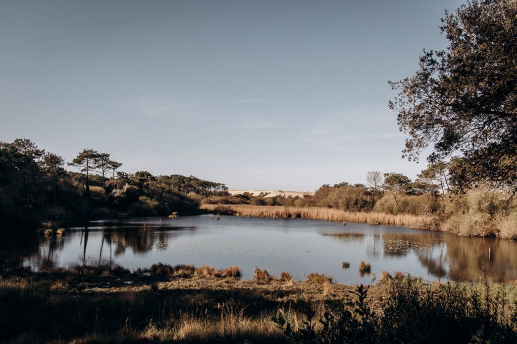 seance couple au courant d'huchet dans la foret des landes