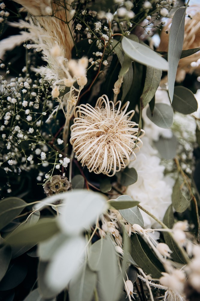 les fleurs d'elia