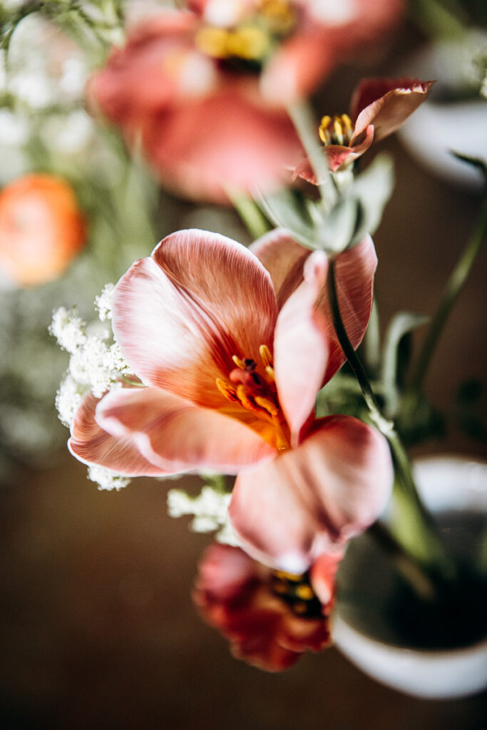 soi fleuriste bidart